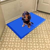 Patura termica cu gel pentru animale de companie, 45x60 cm, Cooling Pet Mat, 2254