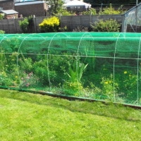 Plasa de protectie pentru gradina, 10 x 2 m, Green Habitats, GH013