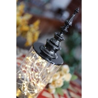 Lampa decorativa cu 50 LED-uri, Vivo  FNF16193