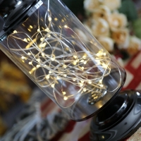 Lampa decorativa cu 50 LED-uri, Vivo  FNF16193