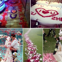 Petale trandafiri artificiale 100 bucati, Mov inchis