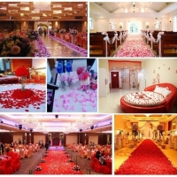 Petale trandafiri artificiale 100 bucati, Mov inchis