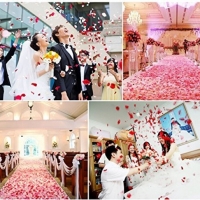 Petale trandafiri artificiale 100 bucati, Roz aprins