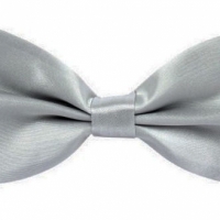 Papion cu aspect matasos, 12 x 7 cm, Light Grey