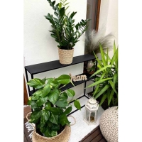 Etajera metalica pentru ghiveci cu 2 rafturi, negru, 90 x 20 x 75 cm, Banko, 012