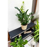 Etajera metalica pentru ghiveci cu 2 rafturi, negru, 90 x 20 x 75 cm, Banko, 012