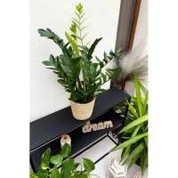 Etajera metalica pentru ghiveci cu 2 rafturi, negru, 90 x 20 x 75 cm, Banko, 012