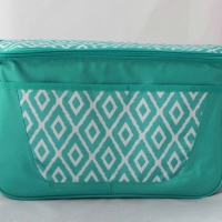 Geanta termoizolanta, 41 x 24 x 25 cm, verde/alb, BB961