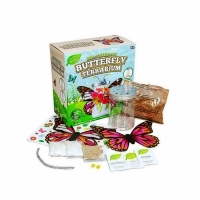 Set terarium fluturi, RMS, 3 plante atrăgătoare, autocolante personalizare, multicolor, pentru 6 ani+, R03-0822