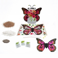 Set terarium fluturi, RMS, 3 plante atrăgătoare, autocolante personalizare, multicolor, pentru 6 ani+, R03-0822