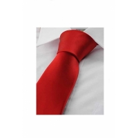 Cravata cu aspect matasos, rosu, 157 x 9 cm, CRV2, Vivo, CRV2-RED