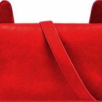  Geanta de dama, Owl, rosu VIVO 